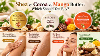 Shea vs Cocoa vs Mango Butter: Which Should You Buy