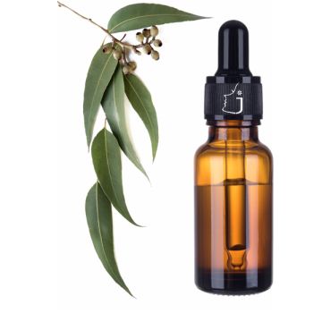 Eucalyptus Essential Oil