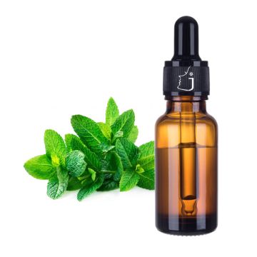 Peppermint Essential Oil
