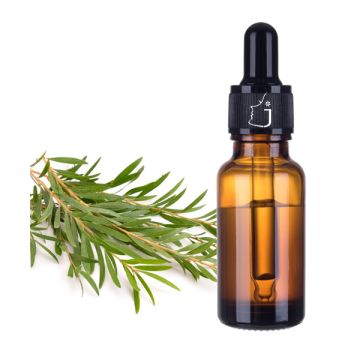 Tea Tree Essential Oil